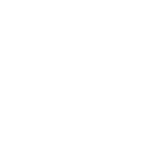 Abilene Silva Rodrigues dos Santos